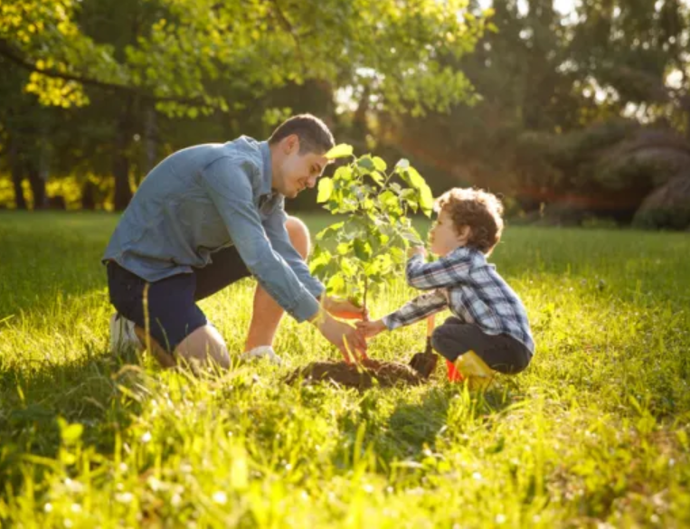 papá y niño plantando un árbol
